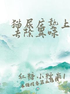 猫尿床垫上怎么去除异味