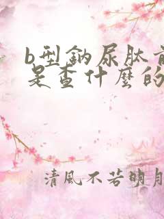 b型钠尿肽前体是查什么的