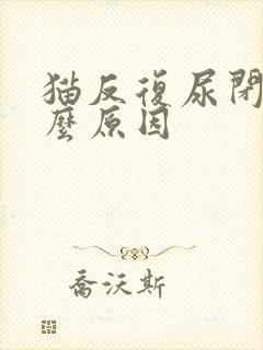 猫反复尿闭是什么原因