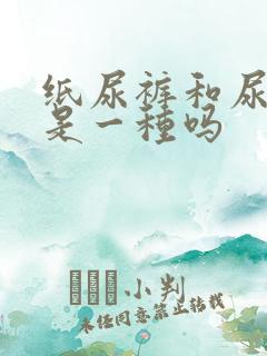 纸尿裤和尿不湿是一种吗