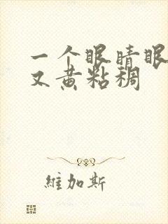 一个眼睛眼屎多又黄粘稠