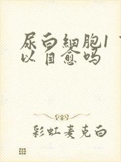 尿白细胞1 可以自愈吗