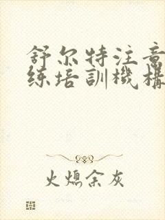 舒尔特注意力训练培训机构