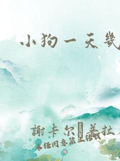 小狗一天几次尿