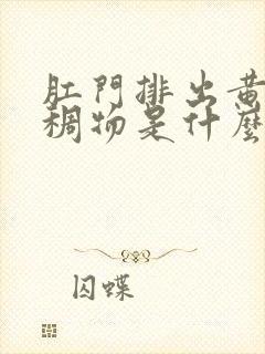 肛门排出黄色粘稠物是什么原因