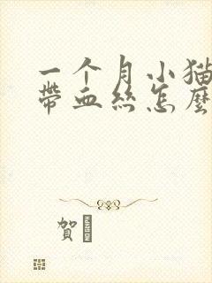 一个月小猫拉稀带血丝怎么回事