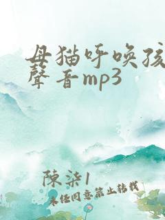 母猫呼唤孩子的声音mp3