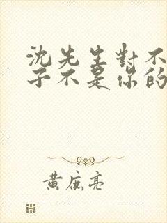 沈先生对不起孩子不是你的短剧免费观看