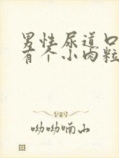 男性尿道口边上有个小肉粒