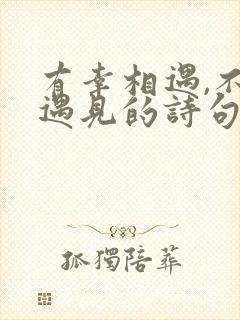 有幸相遇,不负遇见的诗句