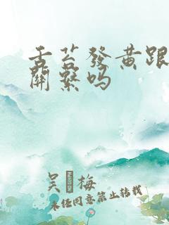 舌苔发黄跟胆有关系吗