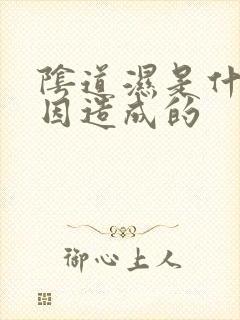 阴道湿是什么原因造成的