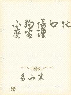 小狗伤口化脓怎么处理