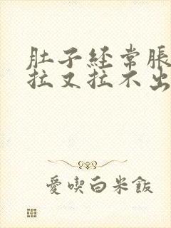 肚子经常胀气想拉又拉不出来