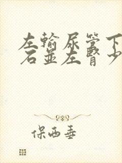 左输尿管下段结石并左肾少量积液