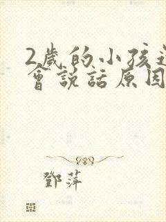 2岁的小孩还不会说话原因