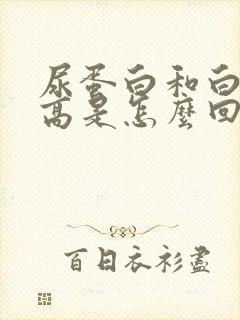 尿蛋白和白细胞高是怎么回事