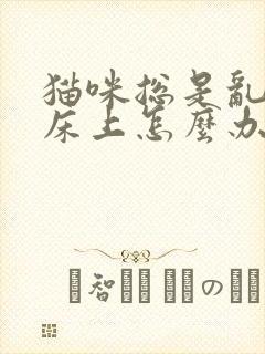 猫咪总是乱尿在床上怎么办