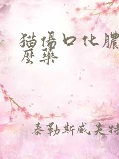 猫伤口化脓用什么药