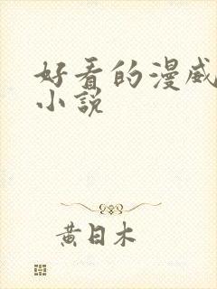 好看的漫威同人小说