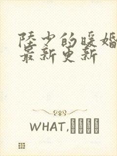 陆少的暖婚新妻最新更新