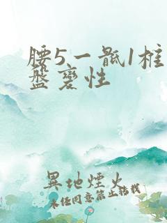 腰5一骶1椎间盘变性