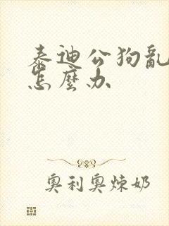 泰迪公狗乱拉尿怎么办