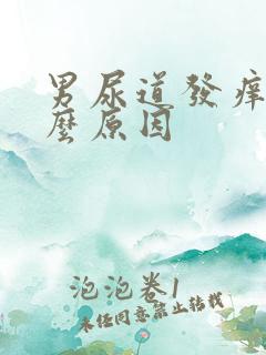 男尿道发痒是什么原因