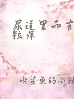 尿道里面有小肉粒痒