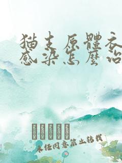 猫支原体衣原体感染怎么治疗