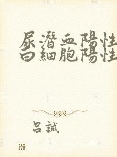 尿潜血阳性和尿白细胞阳性怎么办