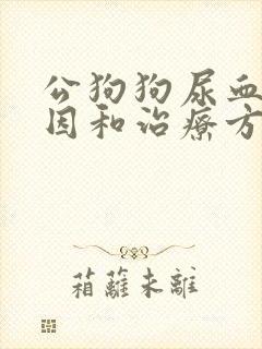 公狗狗尿血的原因和治疗方法