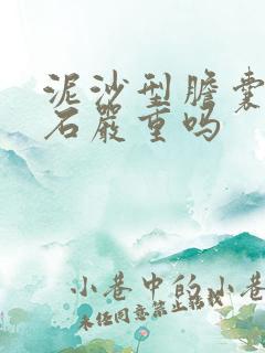 泥沙型胆囊内结石严重吗