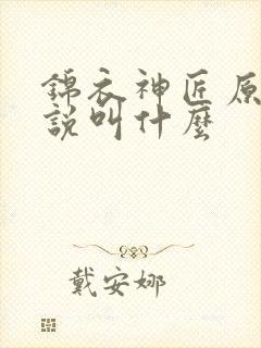 锦衣神匠原著小说叫什么