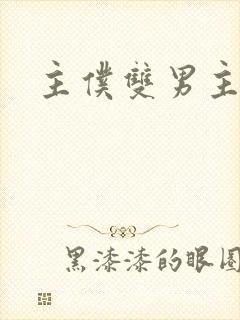 主仆双男主车文