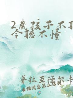 2岁孩子不听指令听不懂