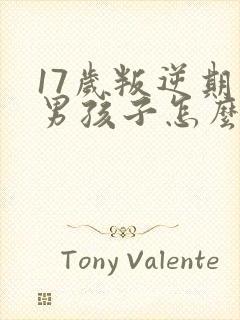 17岁叛逆期的男孩子怎么去引导