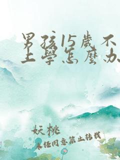 男孩15岁不想上学怎么办