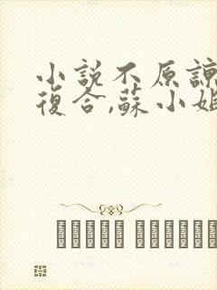 小说不原谅,不复合,苏小姐独美txt