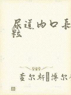 尿道内口长小肉粒