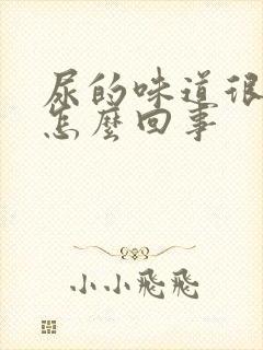 尿的味道很浓是怎么回事