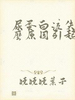 尿蛋白流失是什么原因引起的