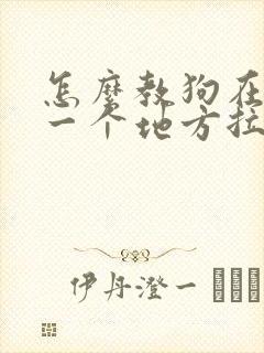 怎么教狗在固定一个地方拉屎拉尿