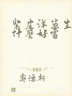 紫皮洋葱生吃有什么好处