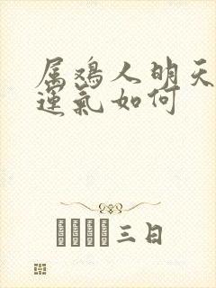 属鸡人明天打牌运气如何