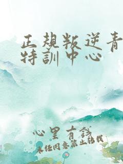 正规叛逆青少年特训中心