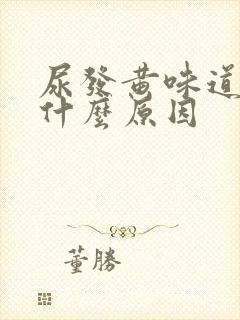 尿发黄味道重是什么原因