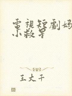 电视短剧妈妈的小救星