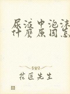 尿液中泡沫多是什么原因怎么治