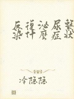 反复泌尿系统感染什么症状